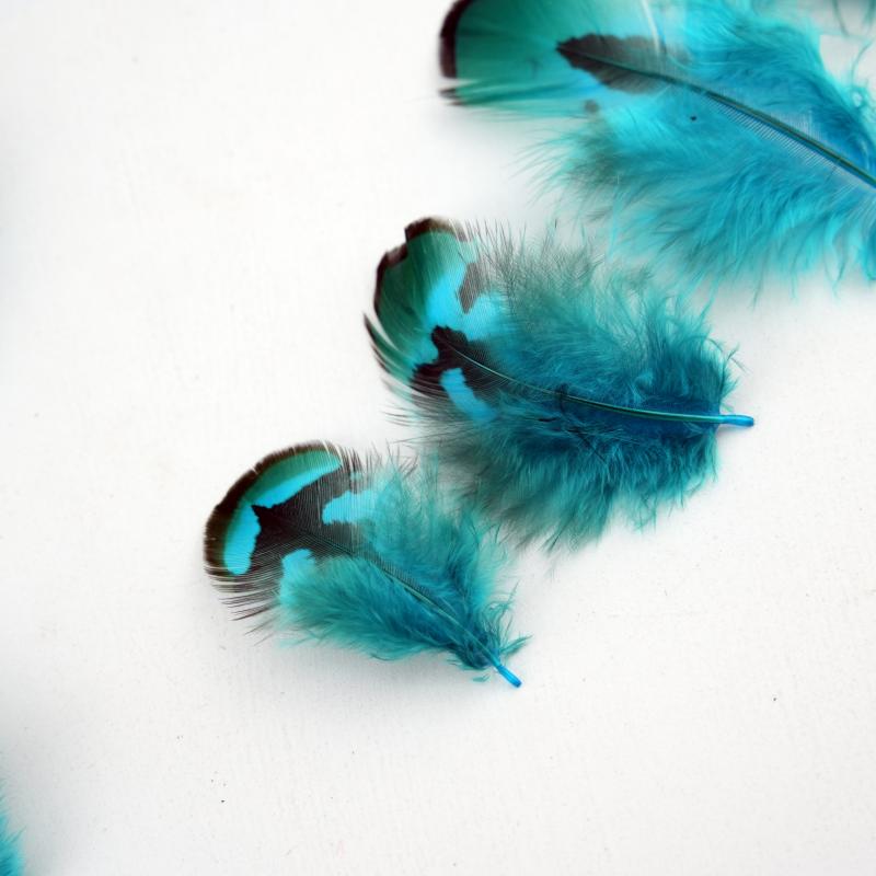 Natural DIY Pheasant Feathers  - đánh giá và giá Wedding Supply Bulk